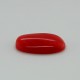 Coral (Moonga) 4.35 Ct Certified Coral (Moonga) 4.35 Ct Certified